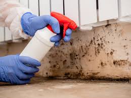 Best Real Estate Mold Inspection  in Wagner, SD